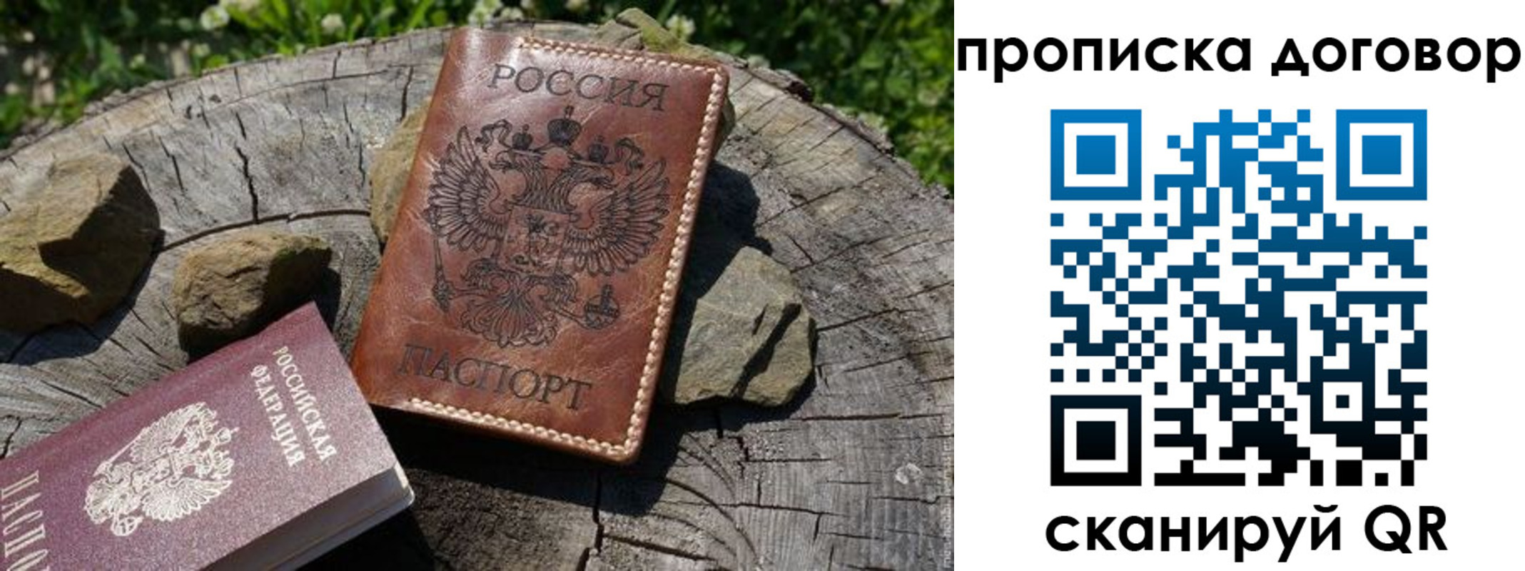 временная регистрация гарантия в Дмитрове